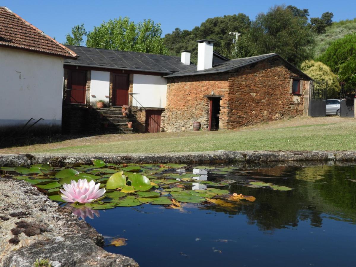 Вилла Quinta Da Alagoa Santa Maria de Emeres Экстерьер фото