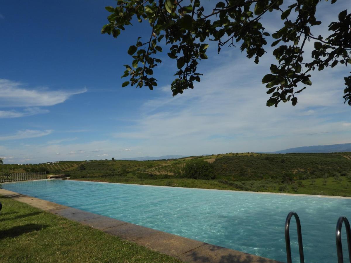 Вилла Quinta Da Alagoa Santa Maria de Emeres Экстерьер фото