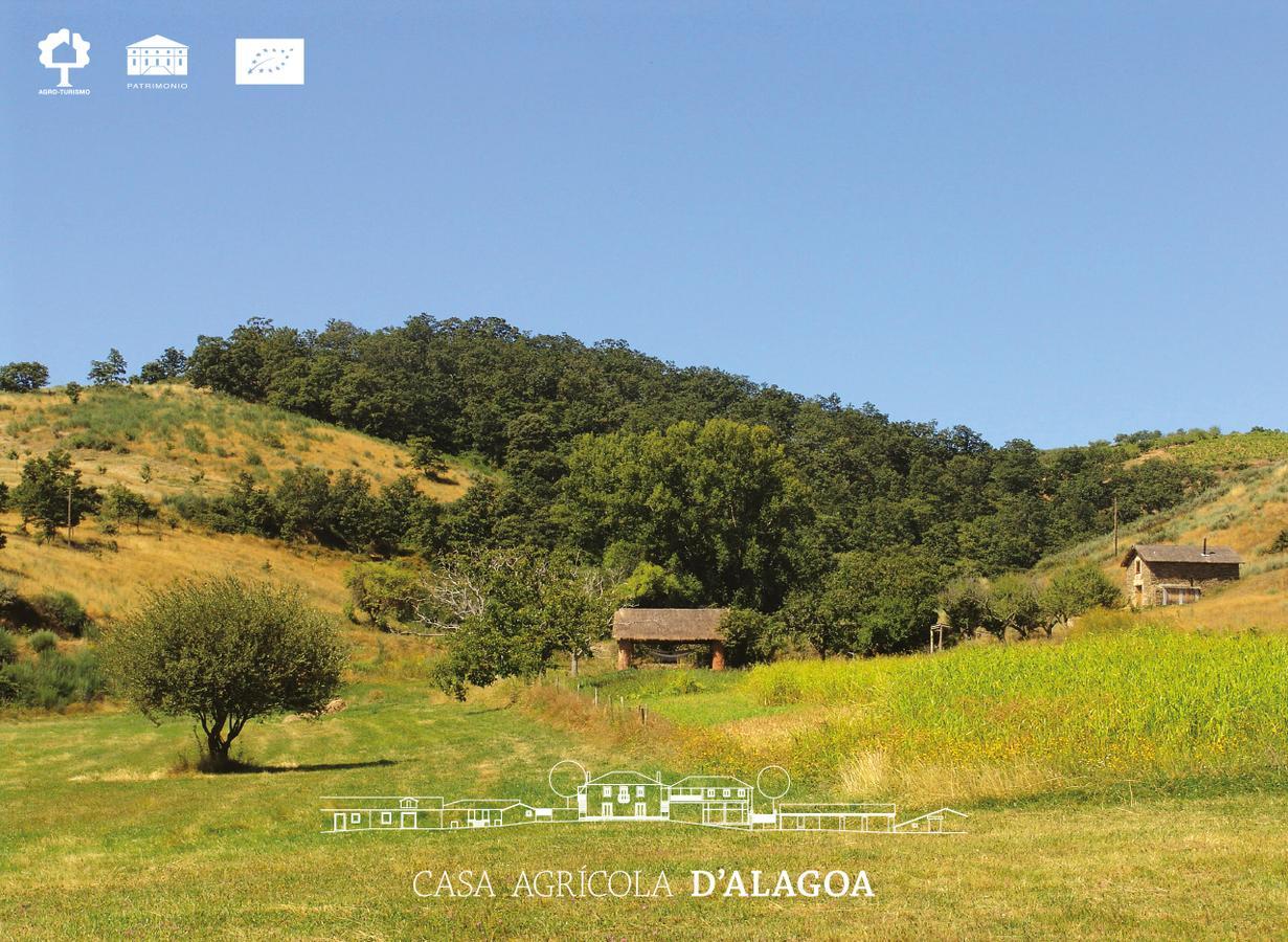 Вилла Quinta Da Alagoa Santa Maria de Emeres Экстерьер фото
