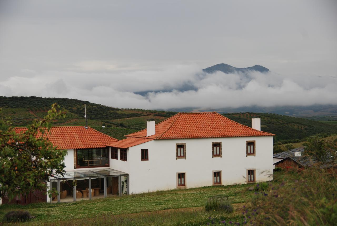 Вилла Quinta Da Alagoa Santa Maria de Emeres Экстерьер фото